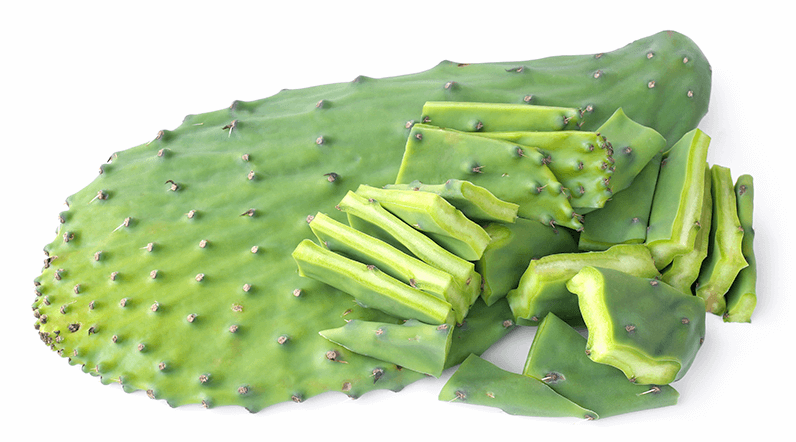 cactus nopales