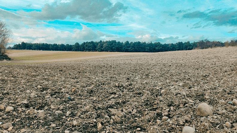 Campo seco por efecto de la sequía en España
