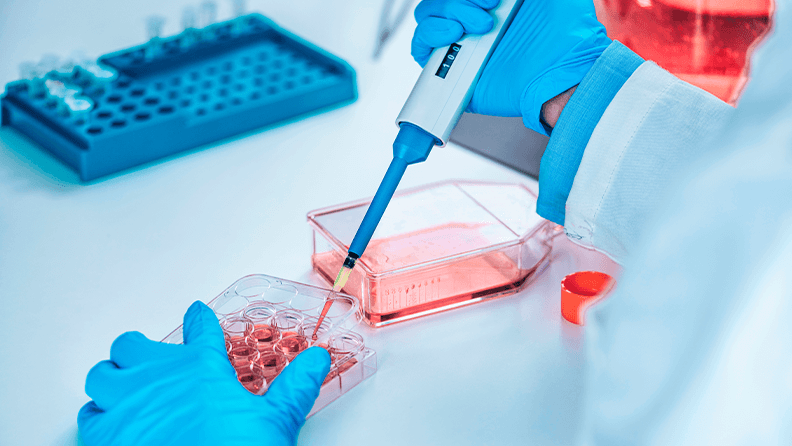  Investigador de biotecnología en laboratorio trabajando con cultivo celular