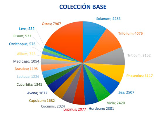 Figura 2: colección base del CRF, atendiendo a su distribución por género botánico.