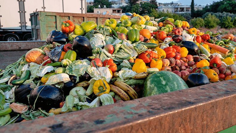Contenedor con restos vegetales