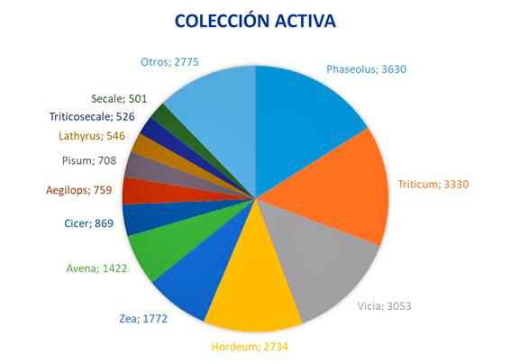 Figura 4: colección activa del CRF, distribución por género botánico.