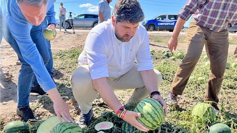 El presidente de la Comunidad, Fernando López Miras, visitó hoy diversos cultivos afectados por el granizo