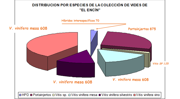 Figura 2. Distribución de las 3.699 accesiones del banco de germoplasma de vid de El Encin, por especies y usos. 