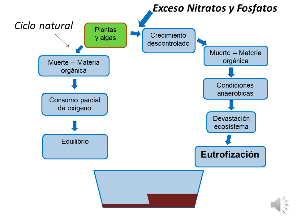 Figura 1. Ciclo natural de ecosistemas acuáticos.