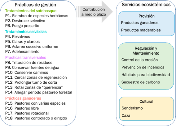 Figura 1. Prácticas de gestión silvopastoral y servicios ecosistémicos evaluados.