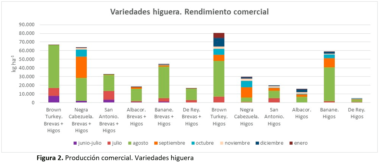 web-figura2