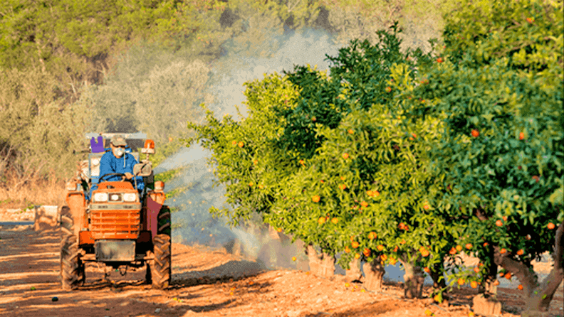 Aplicando fitosanitarios en un campo de naranjas