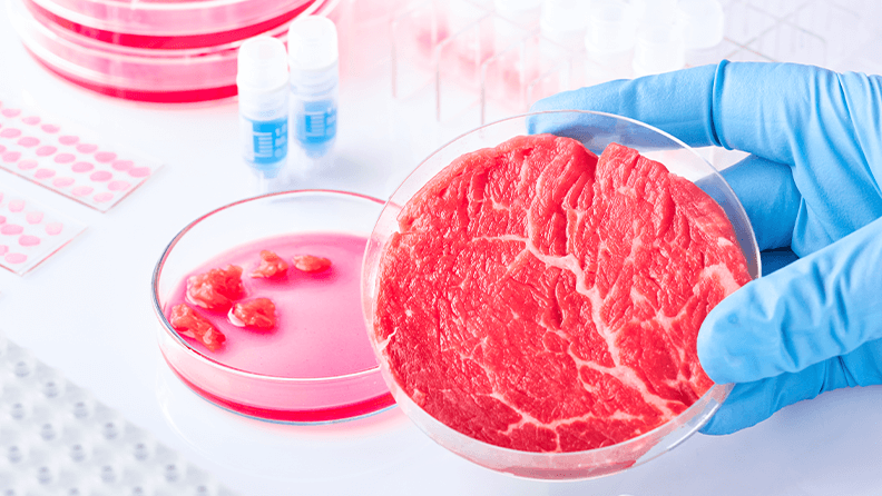 Analizando una porción de carne en un laboratorio.