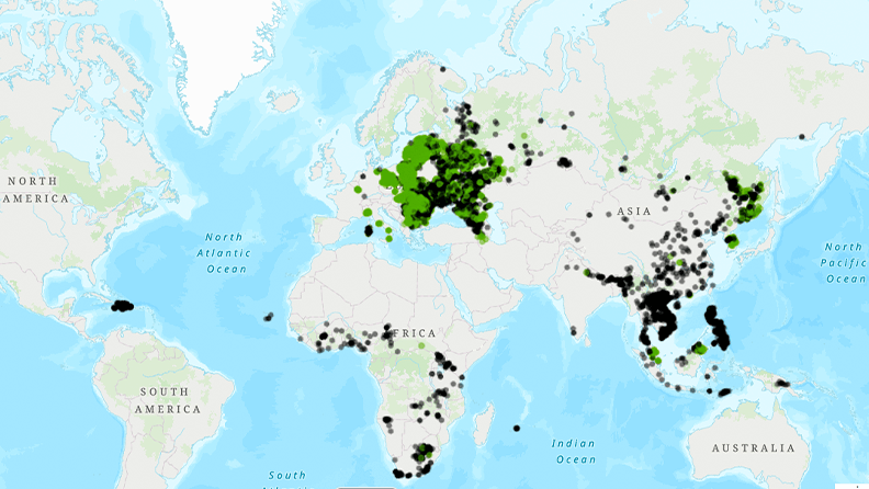 Foto 2.: Mapa ilustrando la presencia de PPA en el mundo, a Junio 2023, por Irene Iglesias, Ana de la Torre y Pablo Ibañez, Grupo de Epidemiología del CISA-INIA/CSIC. (verdes: jabalíes; negro: cerdo doméstico)
