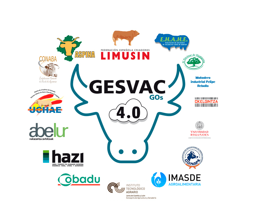 Figura 1. El grupo operativo DESVAC 4.0 engloba a una gran cantidad de actores de la cadena de valor española de vacuno de carne