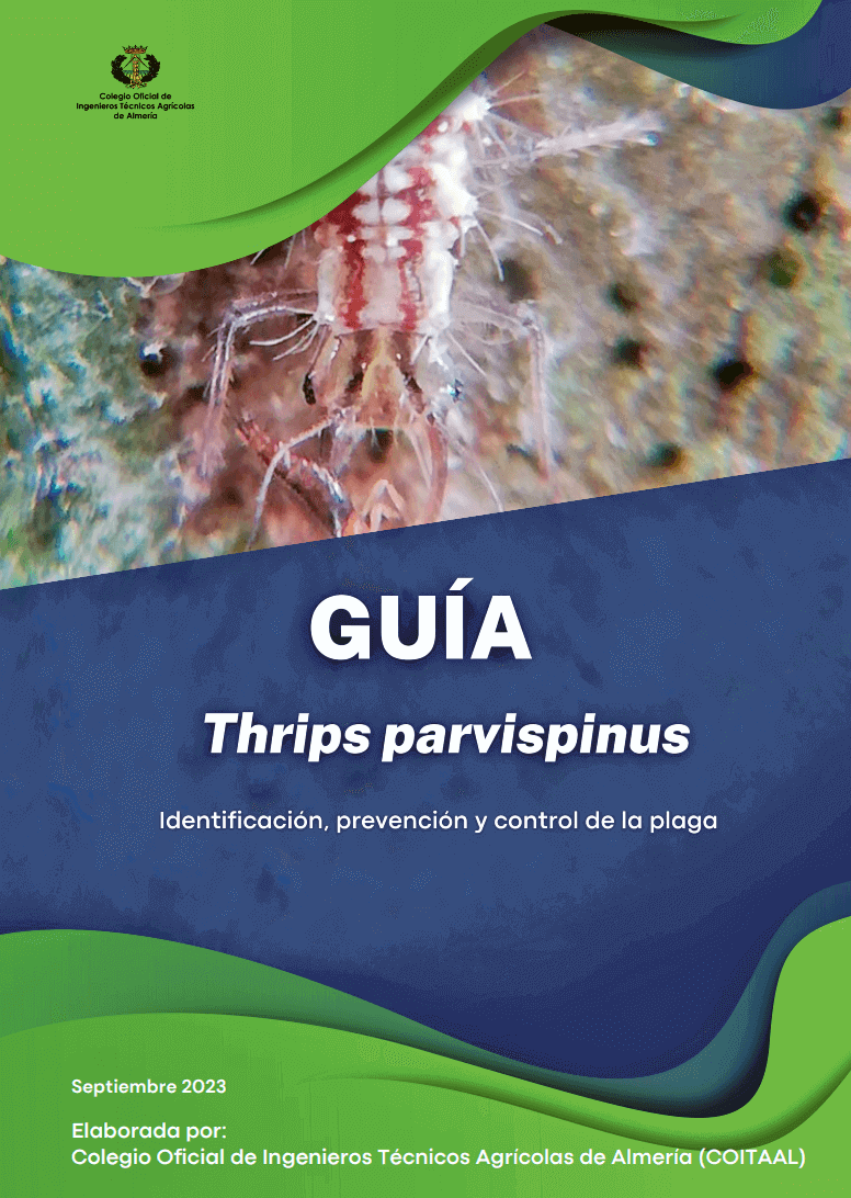 Guía Thrips parvispinus Coitaal