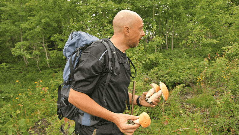Un hombre recolecta setas en el bosque