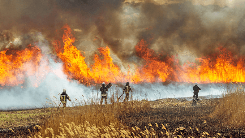 Varios bomberos trabajan para apagar un incendio forestal