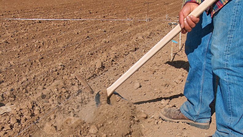 Un agricultor desarrolla labores en la tierra