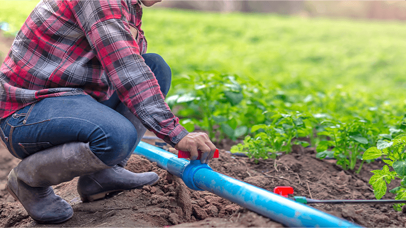 Un agricultor abre una llave de paso en una finca