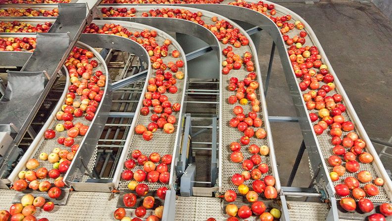 Manzanas en la cinta transportadora de un almacén de envasado de frutas