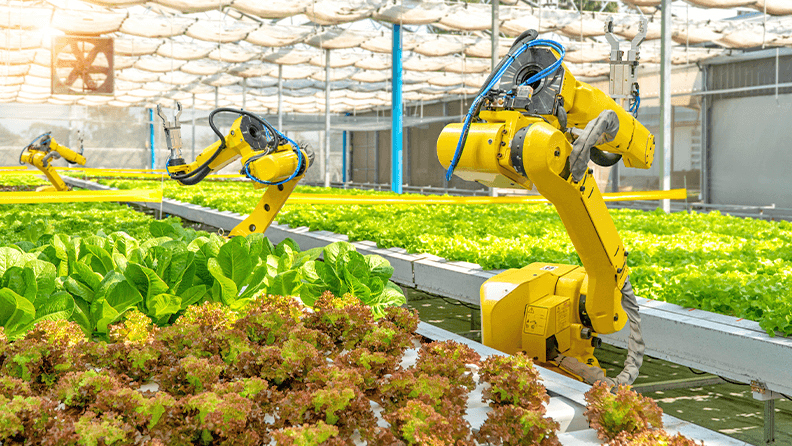 Hacia fuera once Idealmente Cinco aplicaciones de la inteligencia artificial en agricultura