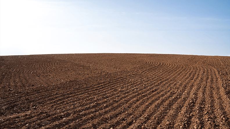 Campo arado