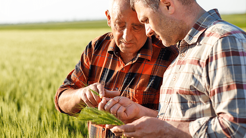 Envejecimiento y brecha de género: principales retos del campo español