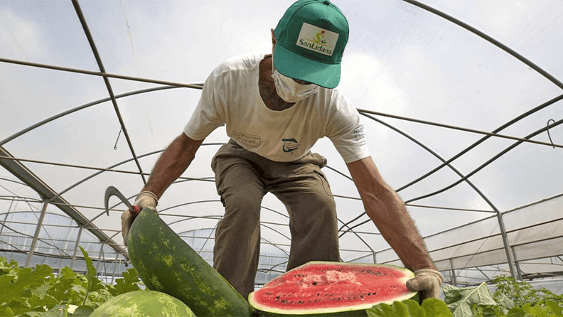 Un agricultor en un invernadero