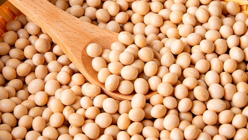 Las políticas europeas aconsejan la búsqueda de alternativas al uso de proteínas importadas, como la soja.
