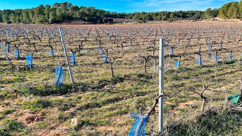 En el año 2023 se aplica la nueva PAC, entra en vigor el cuaderno de campo y se establecen obligaciones para la aplicación de fertilizantes.