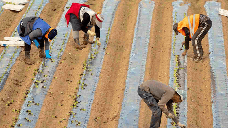 Agricultores en Murcia
